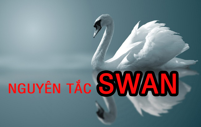 Nguyên tắc SWAN trong tuyển dụng nhân sự giúp sếp nhìn thấu nhân tài